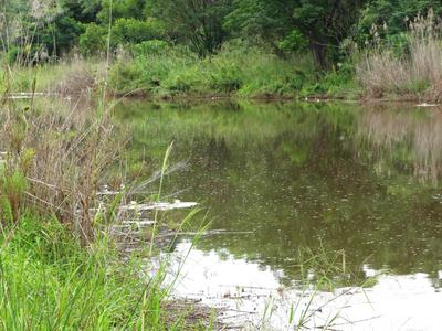 Smallholding  For Sale in Vaalwater, Vaalwater